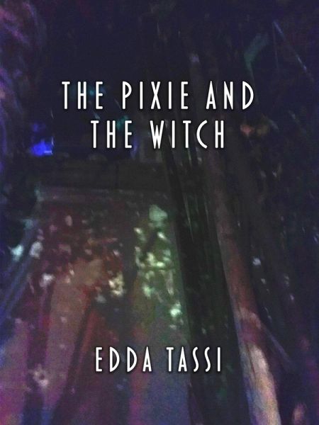 The Pixie and the Witch (eBook, ePUB)