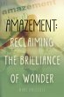 Amazement: Reclaiming the Brilliance of... - Bild 1