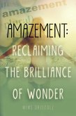 Amazement: Reclaiming the Brilliance of Wonder (eBook, ePUB) Amazement: Reclaiming the Brilliance of Wonder (eBook, ePUB)