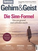 Gehirn&Geist 8/2017 -Die Sinn-Formel (eBook, PDF)