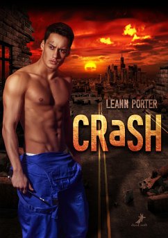 Crash (eBook, ePUB) - Porter, Leann
