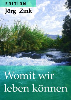 Womit wir leben können (eBook, ePUB) - Zink, Jörg