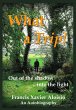 What a Trip! - Out of the shadow...into... - Bild 1