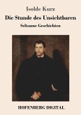 Die Stunde des Unsichtbaren (eBook, ePUB)