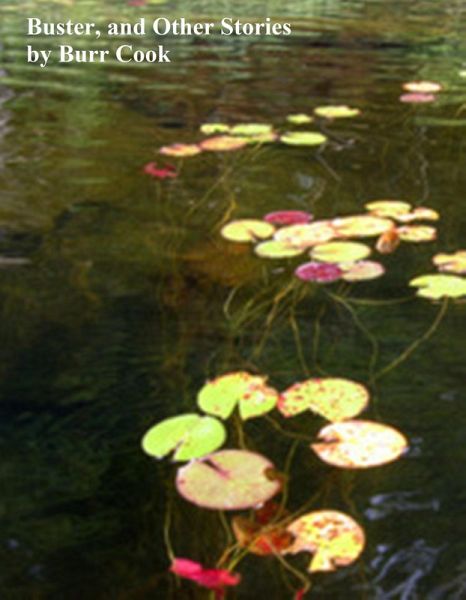 Buster, and Other Stories (eBook, ePUB)