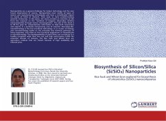 Biosynthesis of Silicon/Silica (Si/SiO¿) Nanoparticles