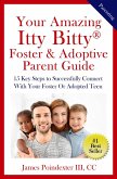 Your Amazing Itty Bitty® Foster & Adoptive Parent Guide (eBook, ePUB)