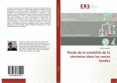 Étude de la solubilité de la chromine dans les verres fondus - Khedim, Hichem