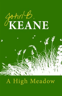 A High Meadow (eBook, ePUB) - Keane, John B.