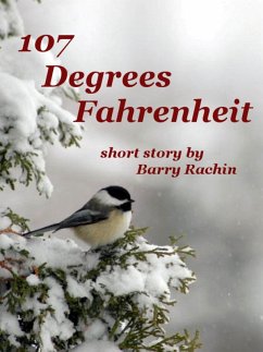 107 Degrees Fahrenheit (eBook, ePUB) - Rachin, Barry