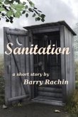 Sanitation (eBook, ePUB)