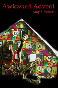 Cover Awkward Advent (eBook, ePUB)