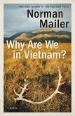 Why Are We in Vietnam? (eBook, ePUB)