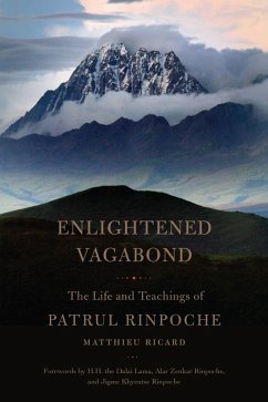 Enlightened Vagabond (eBook, ePUB) - Ricard, Matthieu