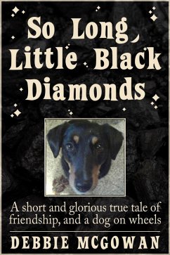 Cover So Long, Little Black Diamonds (eBook, ePUB)