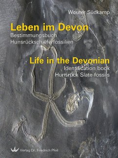 Leben im Devon - Südkamp, Wouter