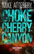 Chokecherry Canyon (Four Corners... - Bild 1