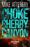 Chokecherry Canyon (Four Corners Thrillers, #1) (eBook, ePUB) Chokecherry Canyon (Four Corners Thrillers, #1) (eBook, ePUB)
