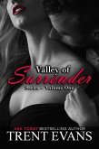 Valley of Surrender Series - Vol.1 (eBook, ePUB)
