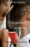 Unexpected Encounters (Unexpected Series, #2) (eBook, ePUB) Unexpected Encounters (Unexpected Series, #2) (eBook, ePUB)