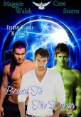 Bound To The Enemy Eternal Flames Maddox 3 (eBook, ePUB)