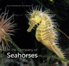 In the Company of Seahorses - Trewhella, Steve; Hatcher, Julie