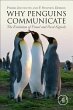 Why Penguins Communicate - Bild 1