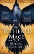 The Tethered Mage - Bild 1