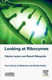 Looking at Ribozymes: From Atomic to Molecular and Cellular Scales