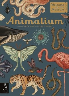 Animalium - Broom, Jenny