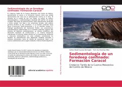 Sedimentología de un foredeep confinado: Formación Caracol - Cuevas Barragán, Carlos David;Ocampo Díaz, Yam Zul