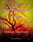 A favour from the gods (eBook, ePUB)