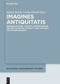 Imagines Antiquitatis (eBook, PDF)