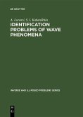 Identification Problems of Wave Phenomena (eBook, PDF)