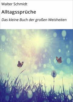 Alltagssprüche (eBook, ePUB) - Schmidt, Walter
