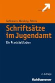 Schriftsätze im Jugendamt (eBook, PDF)