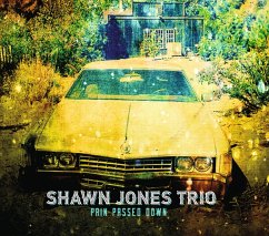 Pain Passed Down - Shawn Jones Trio