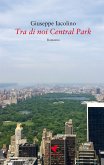 Tra di noi Central Park (eBook, ePUB)