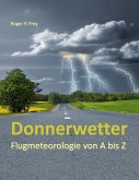 Donnerwetter (eBook, ePUB)