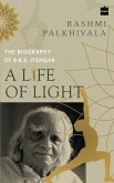 A Life of Light (eBook, ePUB)