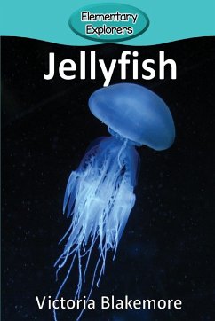 Jellyfish - Blakemore, Victoria