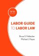 Labor Guide to Labor Law (eBook, ePUB) - Bild 1