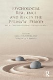 Psychosocial Resilience and Risk in the Perinatal Period (eBook, ePUB)