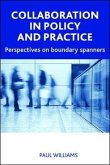 Collaboration in Public Policy and Practice (eBook, ePUB)