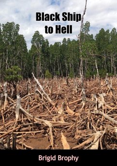 Cover Black Ship to Hell (eBook, ePUB)