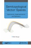 Semitopological Vector Spaces (eBook, PDF)