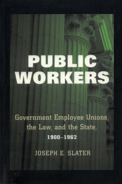 Public Workers (eBook, ePUB)