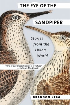 The Eye of the Sandpiper (eBook, ePUB)