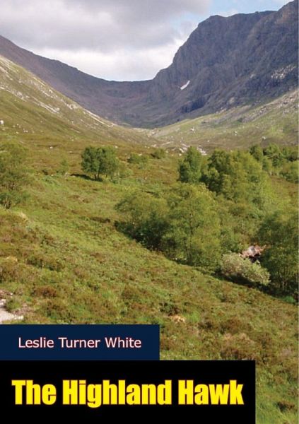 Highland Hawk (eBook, ePUB)