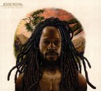 Lily Of Da Valley Lily Of Da Valley